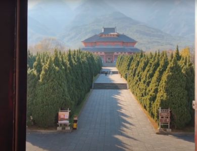 ЮаньНань – царица растений в Китае